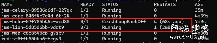 jumpserver遷移以后koko和lion無法注冊(cè)服務(wù)