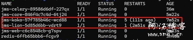 jumpserver遷移以后koko和lion無法注冊(cè)服務(wù)
